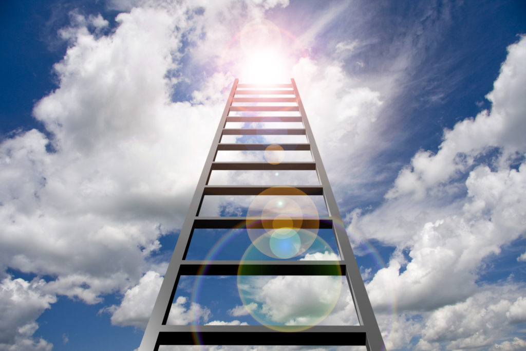 Helder overzicht jurisprudentie Ladder: de nieuwe Ladder start met een schone lei!