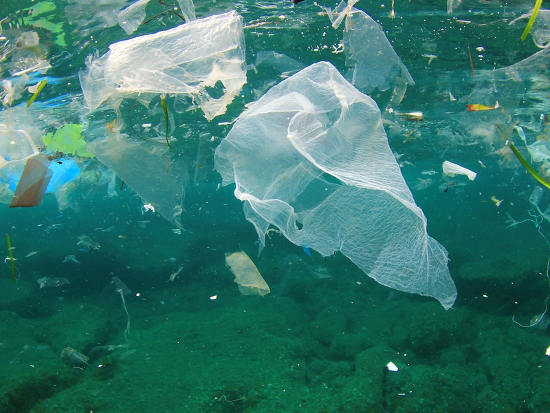 Nieuwe doelen en maatregelen in de strijd tegen de plasticsoep