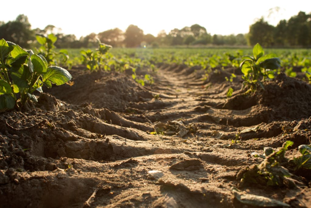 Beoordeling spoedeisendheid bodemsanering: het feitelijke huidige of voorgenomen gebruik telt!