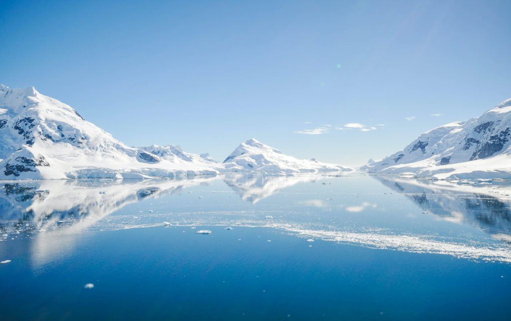 Varkens in Nood: op Antarctica
